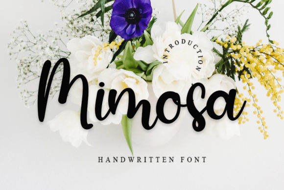 Mimosa Font: A Friendly Handwritten Style for Modern Design