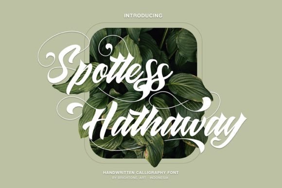 Spotless Hathaway: Elevating Modern Design with Elegant Typography
